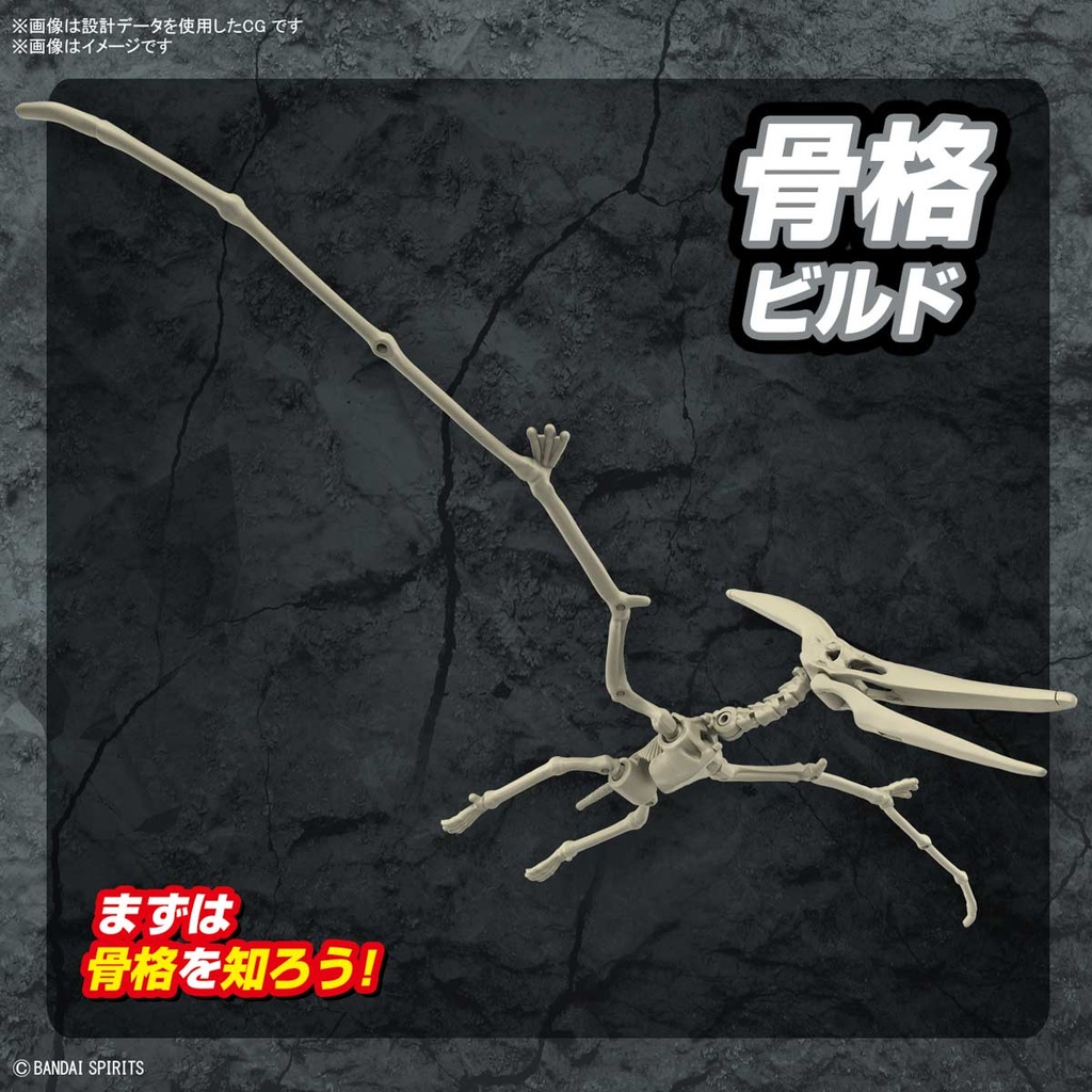 (PO) PLANNOSAURUS Pteranodon Image_5
