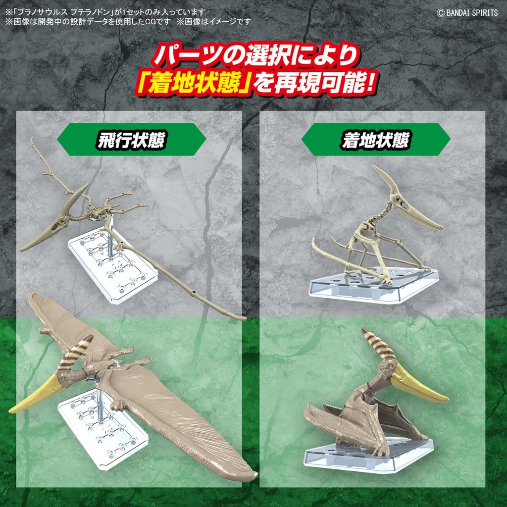(PO) PLANNOSAURUS Pteranodon Image_7