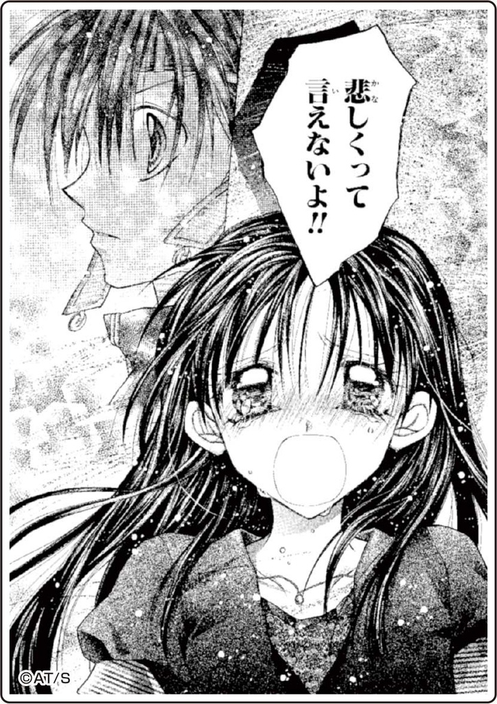 (PO) Full Moon o Sagashite Best Scenes Acrylic Block Collection [BOX] Image_4