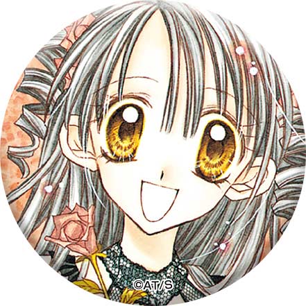 (PO) Full Moon o Sagashite Hologram Can Badge Collection [BOX] Image_2