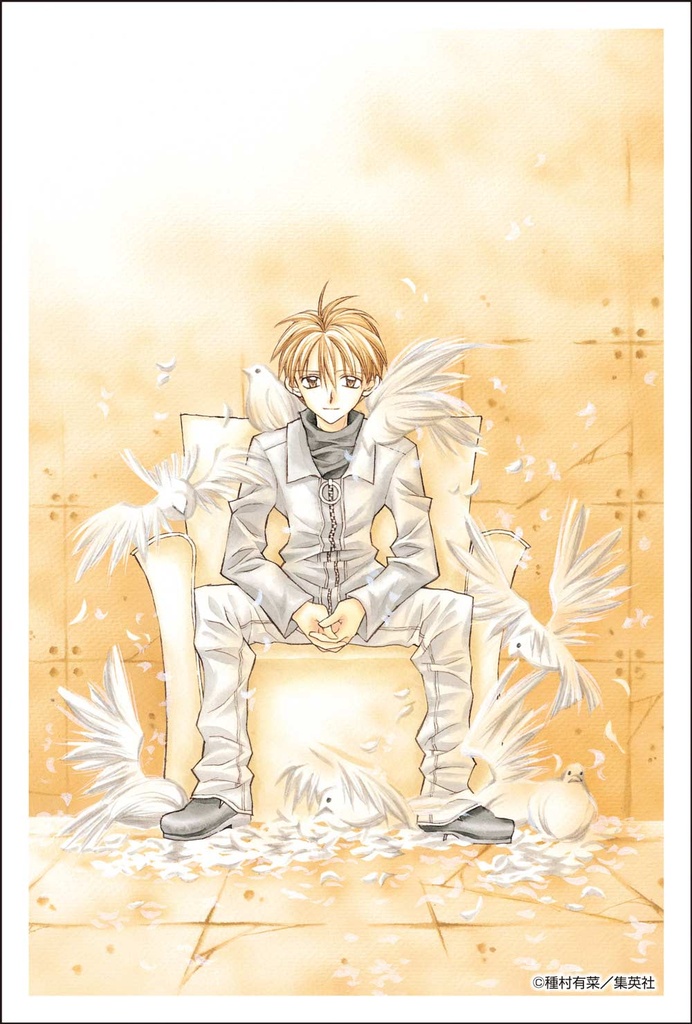 (PO) Full Moon o Sagashite Illustration Card Set Image_5