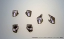 (PO) Super Action Statue JoJo's Bizarre Adventure Part III - Silver Chariot (Re-issue) Image_7
