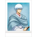 (PO) Gintama PashaColle File Collection [BOX] Image_4