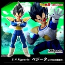 (PO) S.H.Figuarts Dragonball Z - 24000 Power Level Vegeta Image_1
