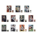Ichiban Kuji - One Piece - Absolute Justice (Full ctn of 80 tickets) Image_9