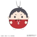 (PO) HQ-43 Haikyu!! Fuwakororin 8 [BOX] Image_9