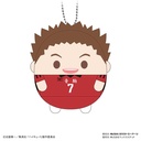 (PO) HQ-43 Haikyu!! Fuwakororin 8 [BOX] Image_10