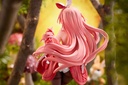(PO) White Rabbit DX ver. Image_17