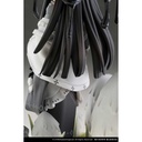 (PO) The Mushroom Girls Series No.4 Coprinus Comatus Image_12