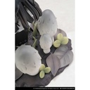 (PO) The Mushroom Girls Series No.4 Coprinus Comatus Image_17