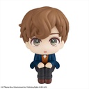 (PO) Look Up Series Fantastic Beasts - Newt Scamander Image_3