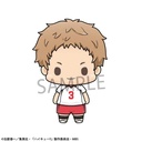 (PO) Chokorin Mascot Haikyu!! Vol. 3 [BOX] Image_6
