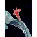 (PO) Honor of Kings - Mermaid Doria Image_15