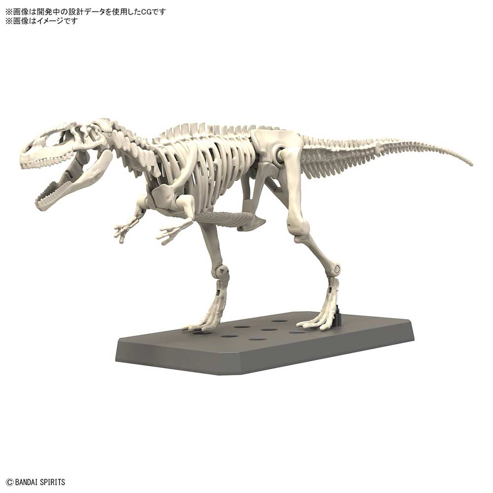 (PO) PLANNOSAURUS Giganotosaurus Image_2