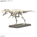 (PO) PLANNOSAURUS Giganotosaurus Image_2
