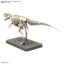 (PO) PLANNOSAURUS Giganotosaurus Image_4