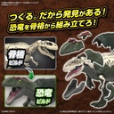 (PO) PLANNOSAURUS Giganotosaurus Image_5