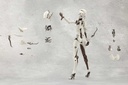(PO) Megalomaria Unlimited Universe Seeker Image_17