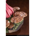 (PO) Reverse Studio The Mushroom Girls Series No.5 Ganoderma lucidum Image_15