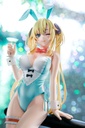 (PO) The Demon Sword Master of Excalibur Academy - Regina Mercedes wearing HISHOKU bunny costume Image_17