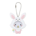 Sanrio Characters Secret Photo Badge Mascot Image_8