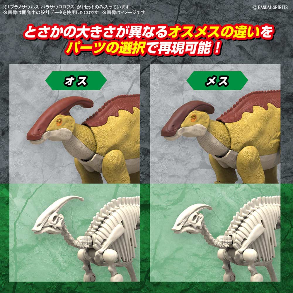 (PO) PLANNOSAURUS Parasaurolophus Image_8