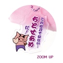 (PO) Crayon Shin-chan Chitose Ame Pen Pouch Chitose Ame Image_3