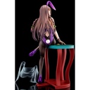 (PO) The Demon Sword Master of Excalibur Academy - Elfine Phillet Purple Bunny Costume Image_9