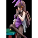 (PO) The Demon Sword Master of Excalibur Academy - Elfine Phillet Purple Bunny Costume Image_15