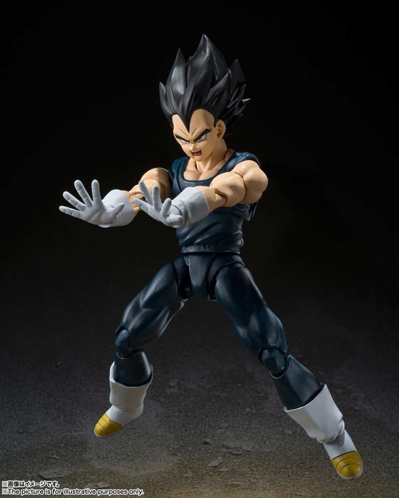 (PO) S.H.Figuarts Dragonball Super: SUPER HERO - Vegeta (Re-issue) Image_6