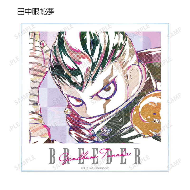 (PO) Danganronpa 1,2 Reload Trading Ani-Art Vol. 1 Acrylic Card Ver. C [BOX] Image_4