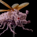 (PO) Takeyashiki Jizaiokimono Nausicaa of the Valley of the Wind - Wingworm Movie Color Ver. Image_5