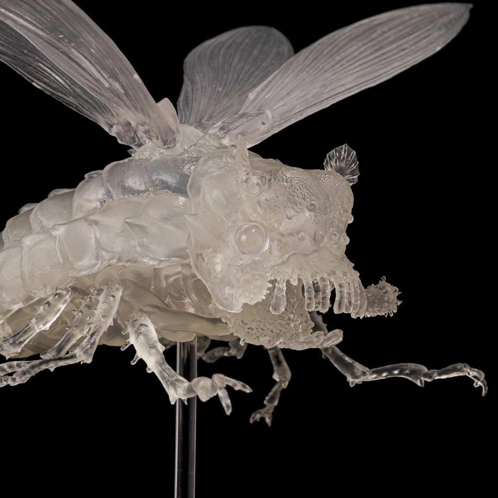 (PO) Takeyashiki Jizaiokimono Nausicaa of the Valley of the Wind - Wingworm Clear Ver. Image_5