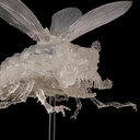 (PO) Takeyashiki Jizaiokimono Nausicaa of the Valley of the Wind - Wingworm Clear Ver. Image_5