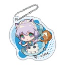 (PO) maimai Deluxe Trading Acrylic Key Chain maimai Deluxe [BOX] Image_4