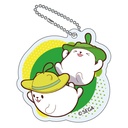 (PO) maimai Deluxe Trading Acrylic Key Chain maimai Deluxe [BOX] Image_9