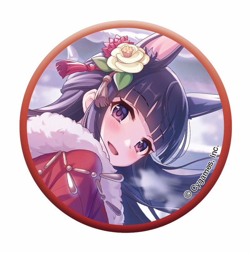 (PO) Princess Connect! Re:Dive Chara Badge Collection B [BOX] Image_3
