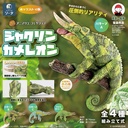 (PO) Animalier Collection Chamaeleo Jacksonii [BOX] Image_1