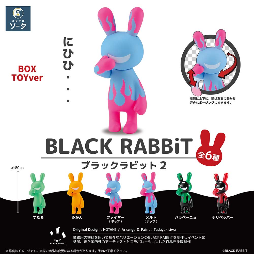 (PO) BLACK RABBiT 2 [BOX] Image_1