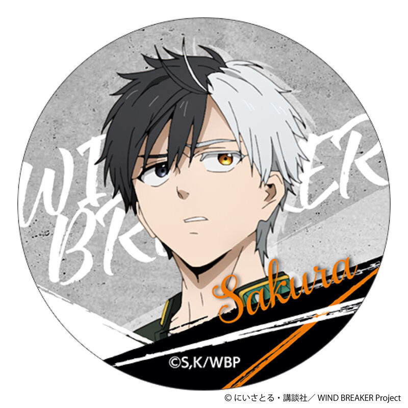 (PO) Wind Breaker Circle Card Collection [BOX] Image_3