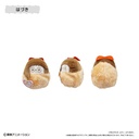 (PO) Ojamajo Doremi Dokkaan! Tapi-nui Plush [BOX] Image_3