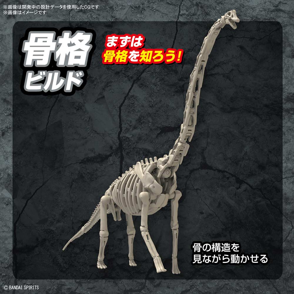 (PO) PLANNOSAURUS Brachiosaurus Image_1