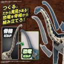 (PO) PLANNOSAURUS Brachiosaurus Image_2