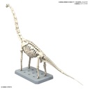 (PO) PLANNOSAURUS Brachiosaurus Image_3