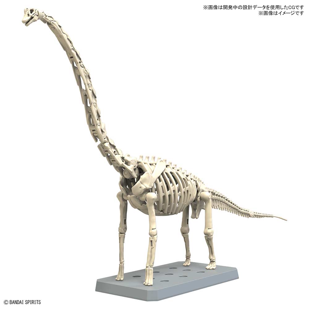 (PO) PLANNOSAURUS Brachiosaurus Image_5