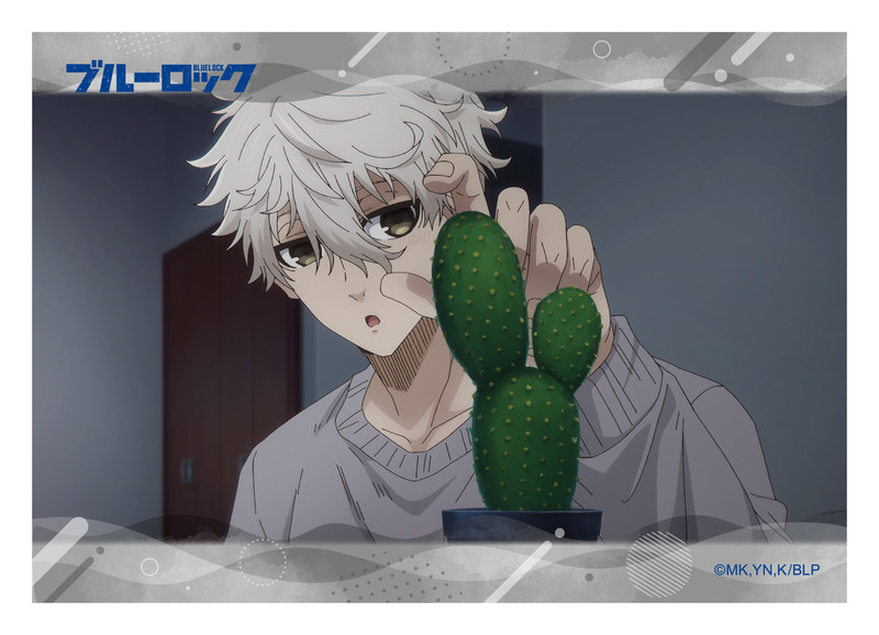 (PO) Blue Lock -Episode Nagi- The Movie Best Scenes Bromide Collection Nagi Seishiro [BOX] Image_5