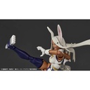 (PO) Revoltech My Hero Academia - Mirko Image_9