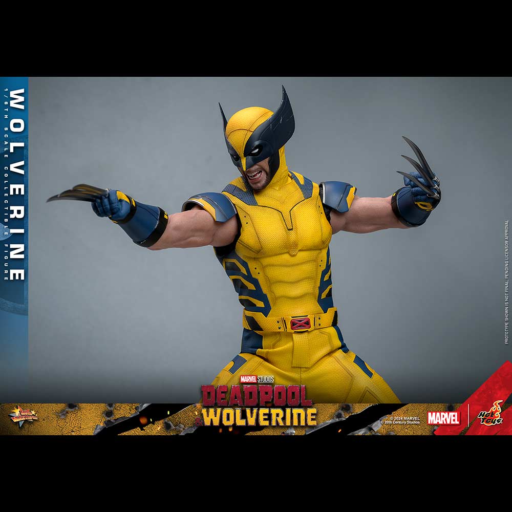 (PO) Movie Masterpiece Series MMS753 - Deadpool & Wolverine - Wolverine Image_3