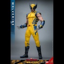 (PO) Movie Masterpiece Series MMS753 - Deadpool & Wolverine - Wolverine Image_11