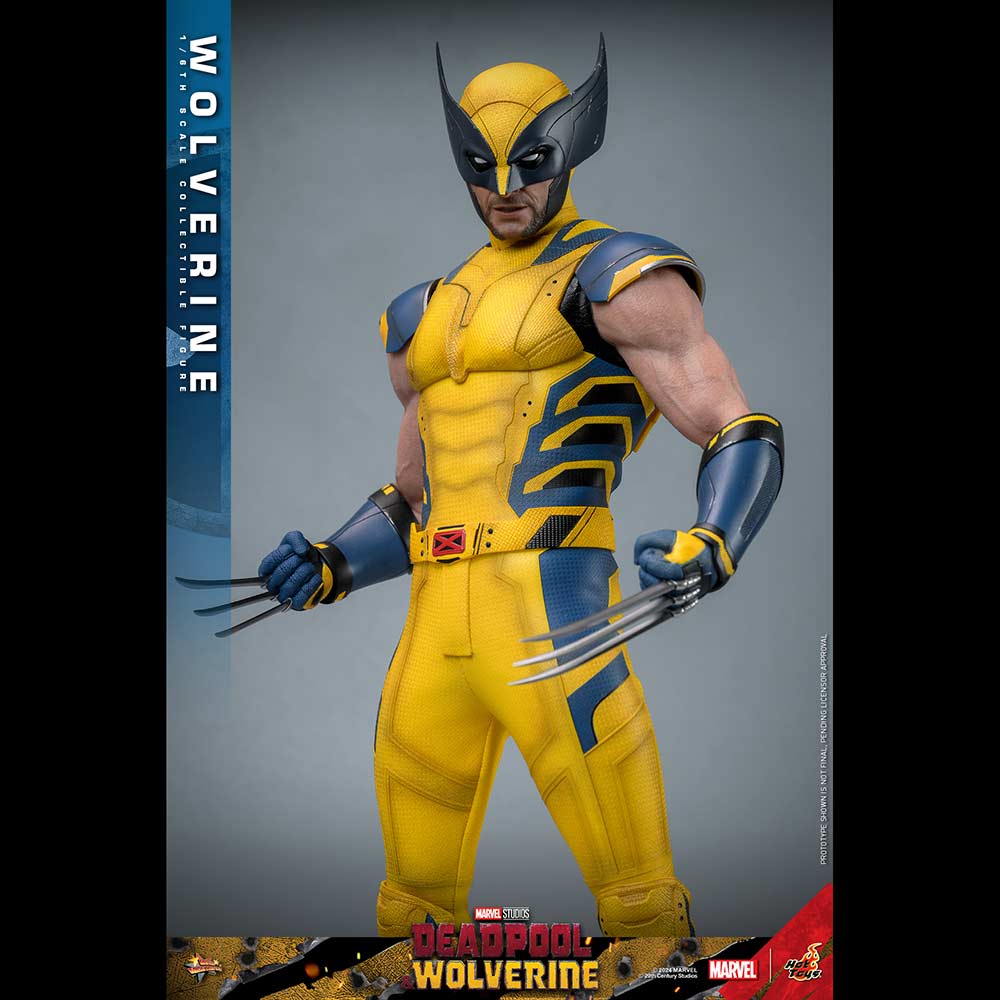 (PO) Movie Masterpiece Series MMS753 - Deadpool & Wolverine - Wolverine Image_13